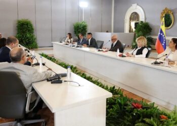 الرئيسة المؤقتة لفنزويلا ترحب بعملية الحوار بين الحكومة ووفد المعارضة