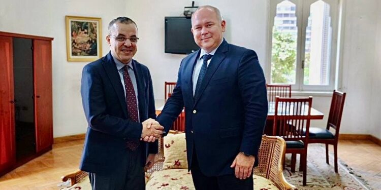 روسيا ومصر تبحثان تعزيز التعاون في مجال الترجمة