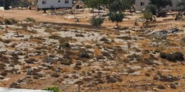 من القدس إلى معاليه أدوميم: E1 إسرائيل تشق الضفة بسكين الاستيطان