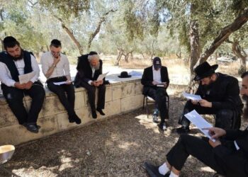 مستوطنون يقتحمون المسجد الأقصى ويعقدون حلقة دينية توراتية