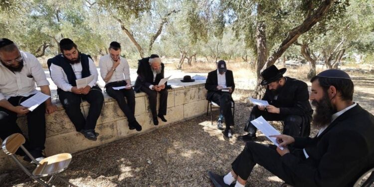 مستوطنون يقتحمون المسجد الأقصى ويعقدون حلقة دينية توراتية
