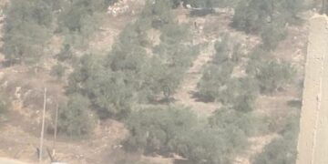 الاحتلال ينصب حاجزًا عسكريًا في قرية الطرم جنوب غرب جنين