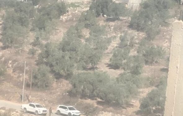 الاحتلال ينصب حاجزًا عسكريًا في قرية الطرم جنوب غرب جنين