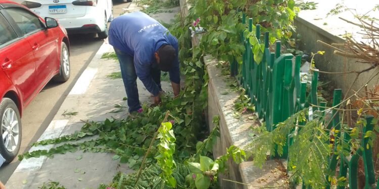 الشرقية تتزين وتتجمل في ابهي صورها احتفالا ً وابتهاجاً.. بعيدها القومي الـ١٤٥