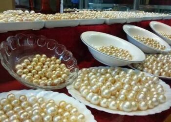 إنتاج 900 ألف لؤلؤة ميانمارية في الأشهر الخمسة الأولى من السنة المالية 2026-2027